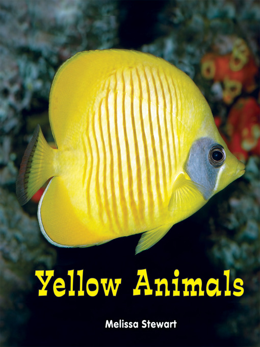 Cover image for Yellow Animals